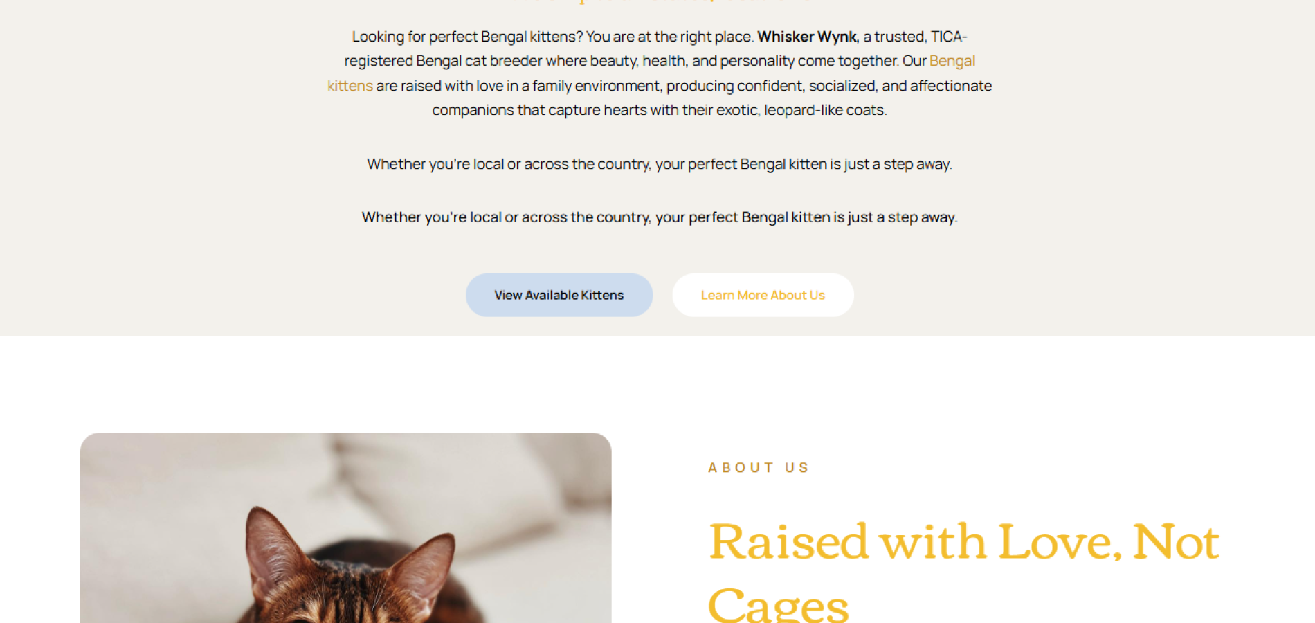 3f09afdc-3fd6-40de-81a4-39154327b0fa